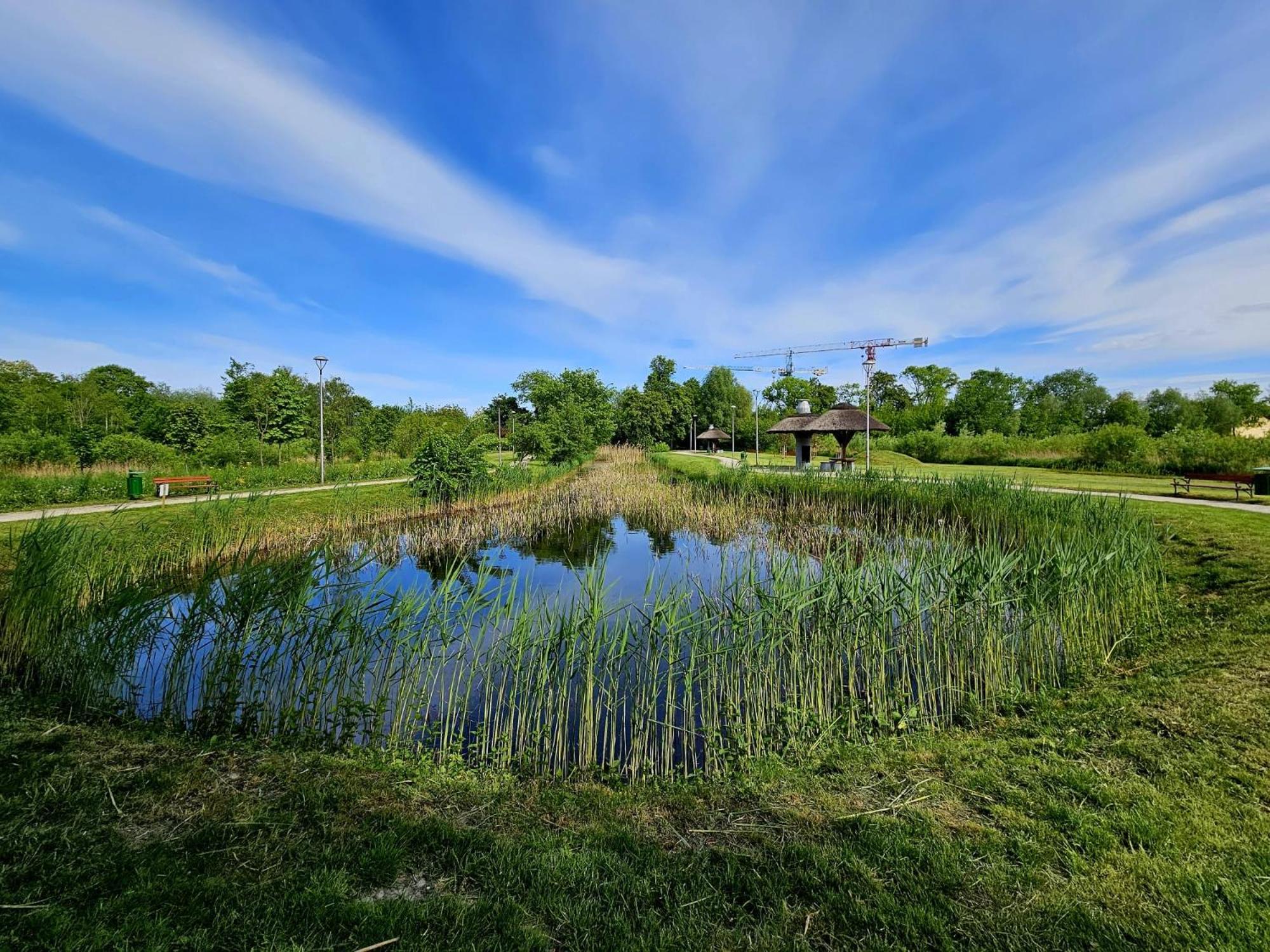 Countryside Studio Borzecin Duzy Bagian luar foto